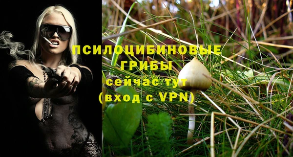 крисы Алексин